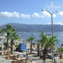 фото из отзыва ID 223009