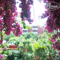 фото из отзыва ID 223816