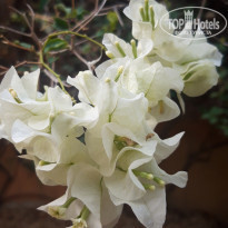 фото из отзыва ID 2230050