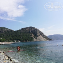 фото из отзыва ID 2230097