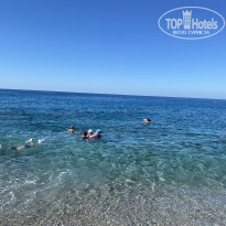 фото из отзыва ID 2230235