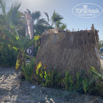 фото из отзыва ID 2230235