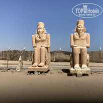 фото из отзыва ID 2230355