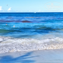 фото из отзыва ID 2230274