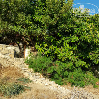 фото из отзыва ID 2230515