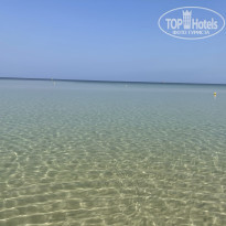 фото из отзыва ID 2230733