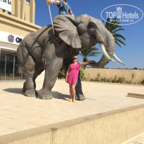 фото из отзыва ID 2230914