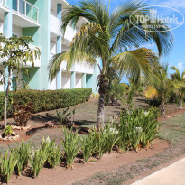 фото из отзыва ID 2230988