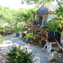 фото из отзыва ID 2230988