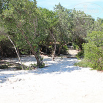 фото из отзыва ID 2230988