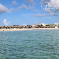 фото из отзыва ID 2230988