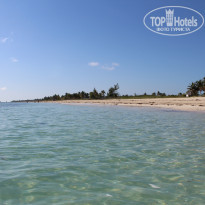 фото из отзыва ID 2230988