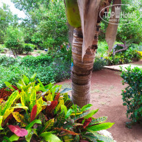 фото из отзыва ID 2230988