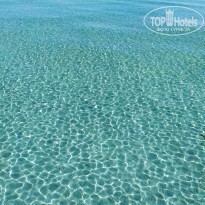 фото из отзыва ID 2230988