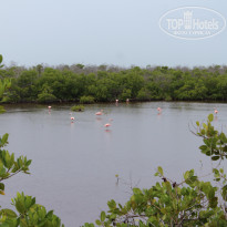 фото из отзыва ID 2230988