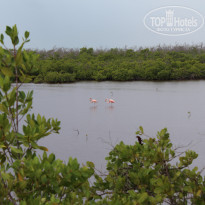 фото из отзыва ID 2230988