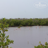 фото из отзыва ID 2230988