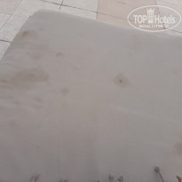 фото из отзыва ID 2230989