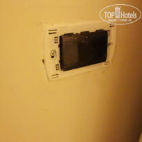 фото из отзыва ID 2231006