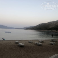 фото из отзыва ID 2231056