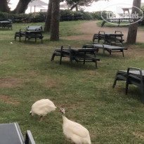 фото из отзыва ID 2231056