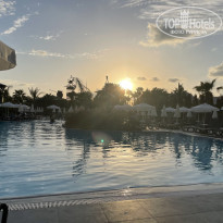 фото из отзыва ID 2231067