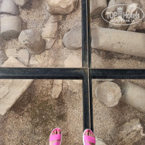 фото из отзыва ID 2231068