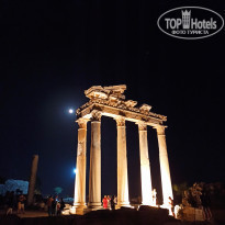 фото из отзыва ID 2231068