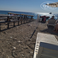 фото из отзыва ID 2231097