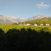 фото из отзыва ID 2231097