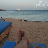 фото из отзыва ID 2231109