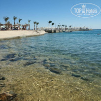 фото из отзыва ID 2231109