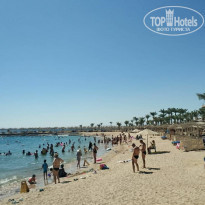 фото из отзыва ID 2231109