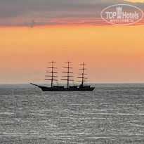 фото из отзыва ID 2231114