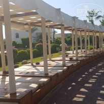 фото из отзыва ID 2231079