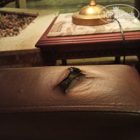 фото из отзыва ID 2231178