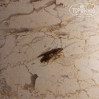 фото из отзыва ID 2231178