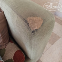 фото из отзыва ID 2231178