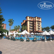 фото из отзыва ID 2231127