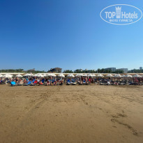 фото из отзыва ID 2231127