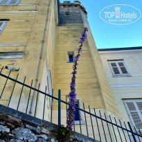 фото из отзыва ID 2231204