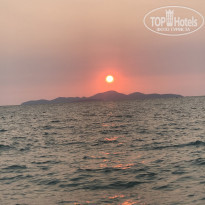 фото из отзыва ID 2231265