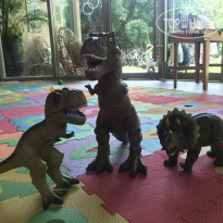 фото из отзыва ID 2231265