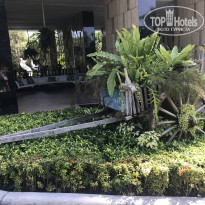 фото из отзыва ID 2231265