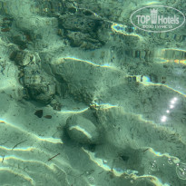 фото из отзыва ID 2231449