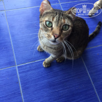 фото из отзыва ID 2231310