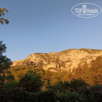 фото из отзыва ID 2231504