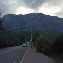 фото из отзыва ID 2231504