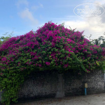 фото из отзыва ID 2231575