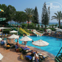 фото из отзыва ID 2231592